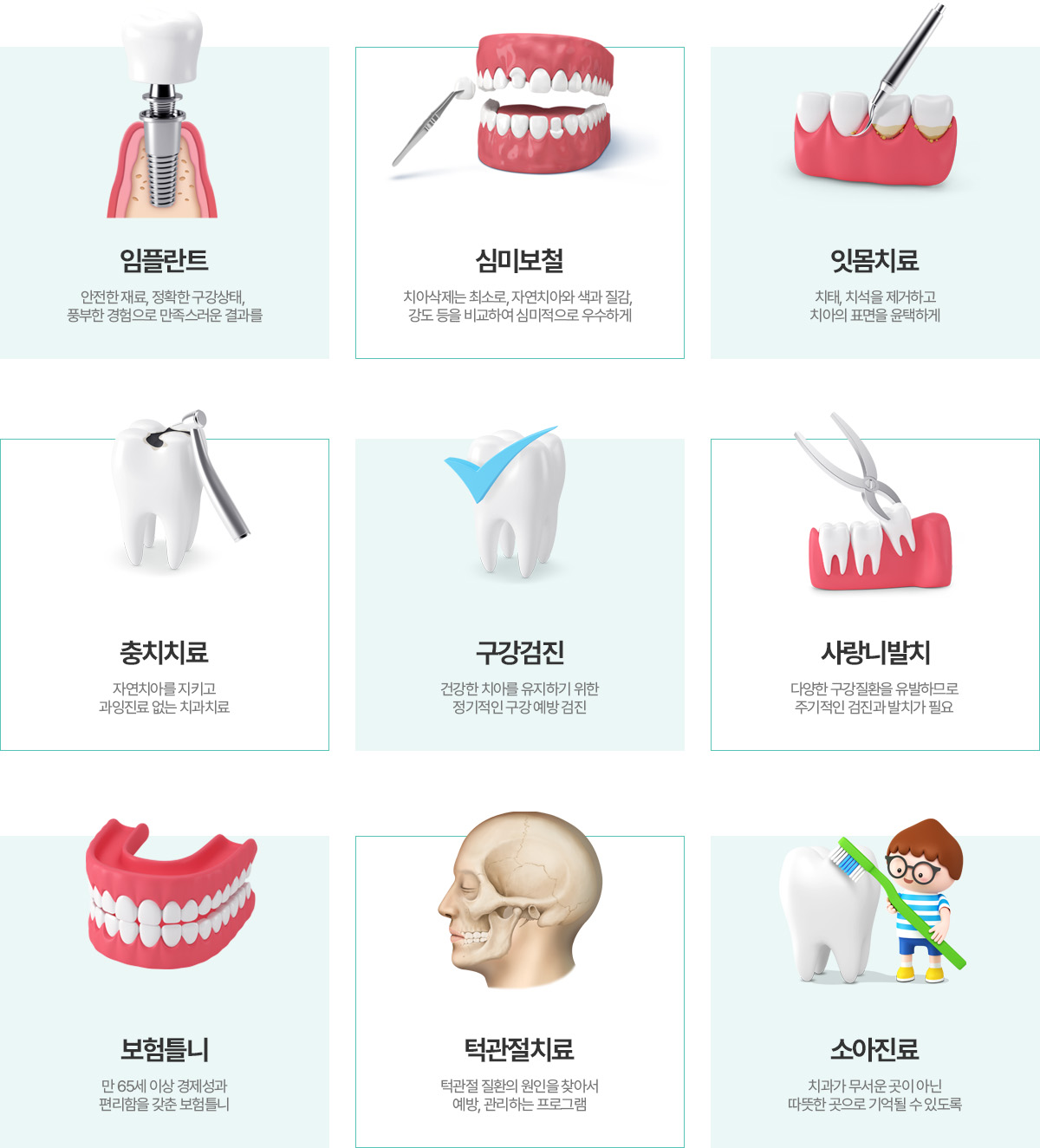 진료과목